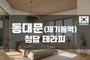 동대문 - 청담 테라피