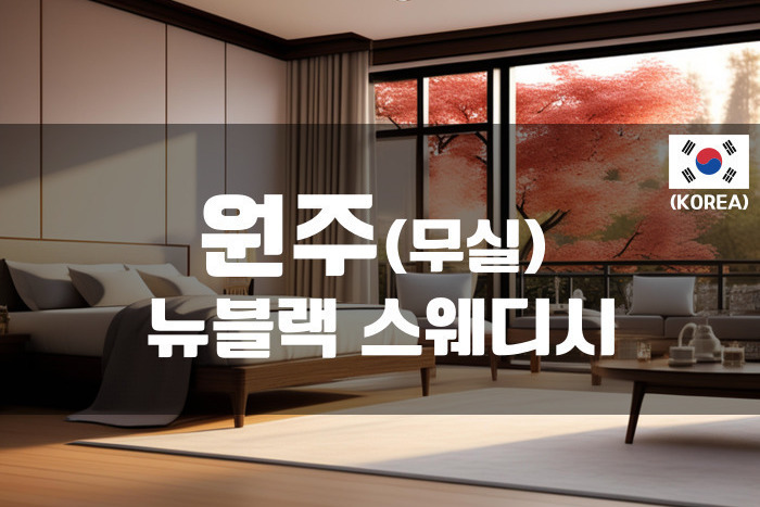 원주 - 뉴블랙 스웨디시