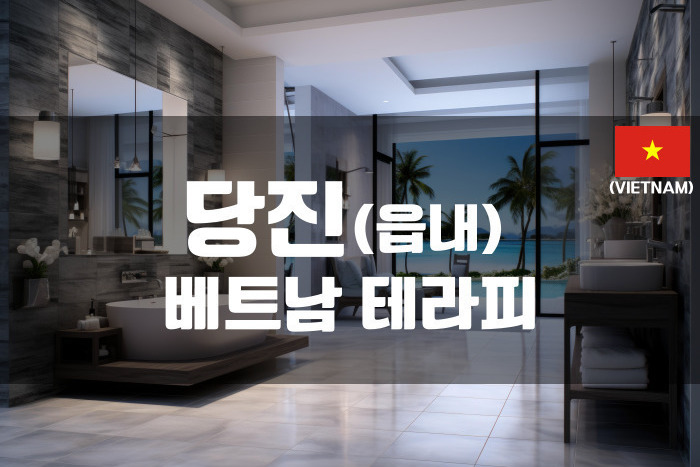 당진 - 베트남 테라피