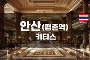 안양평촌 - 키티스
