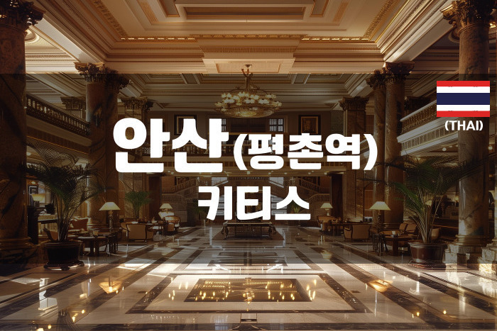 안양평촌 - 키티스