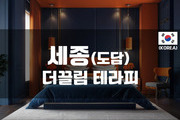 세종 - 더끌림 테라피