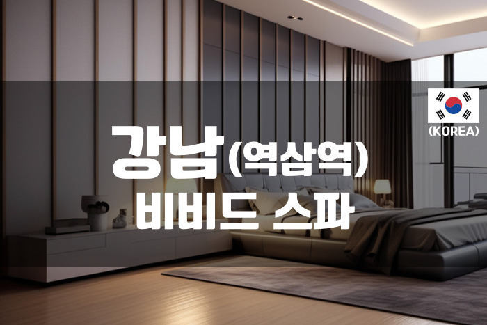강남-비비드스파